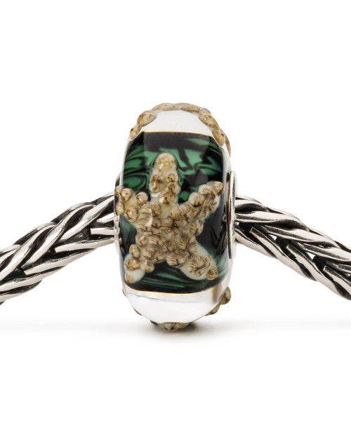 Steady Starfish Bead