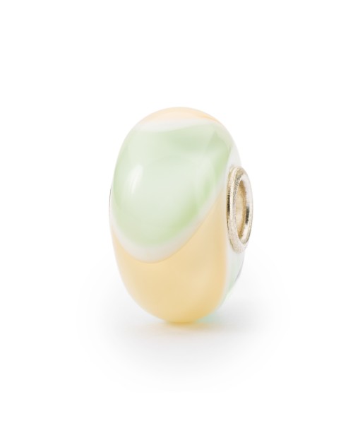 Happiness Armadillo Bead