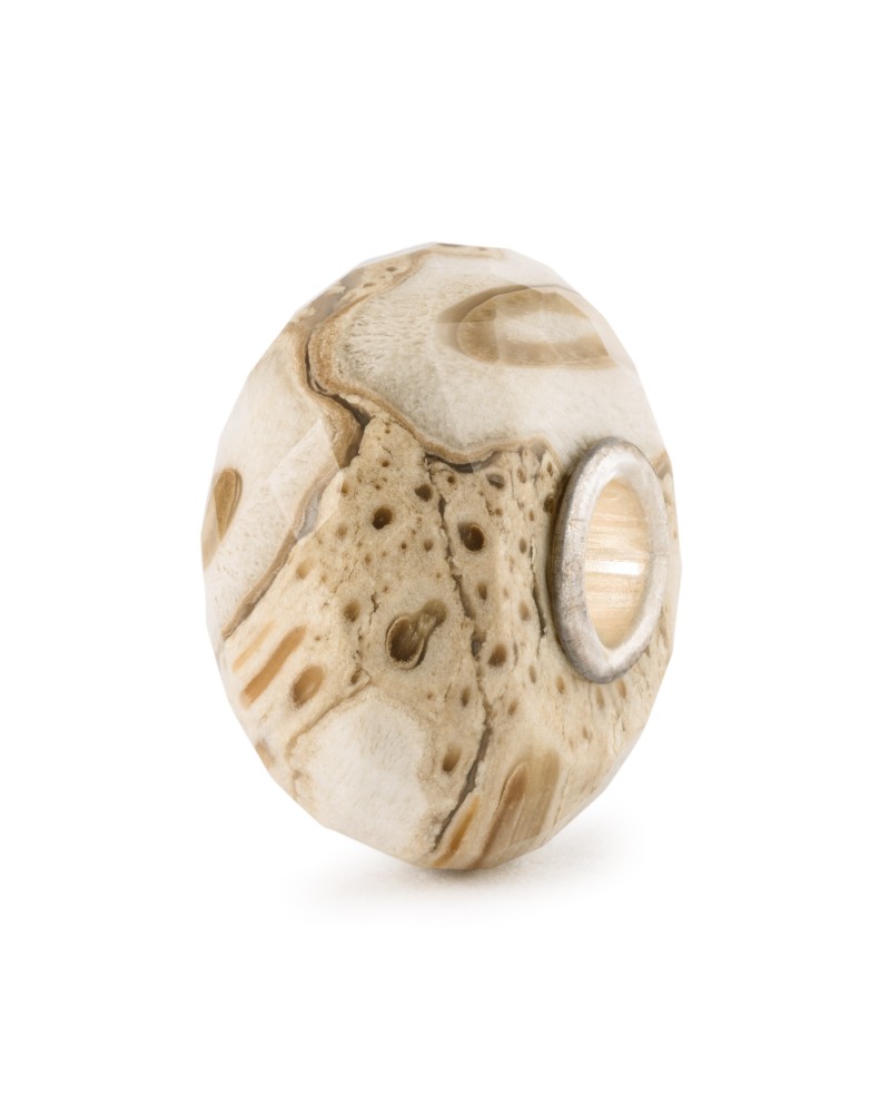 Fossilised Wood Bead
