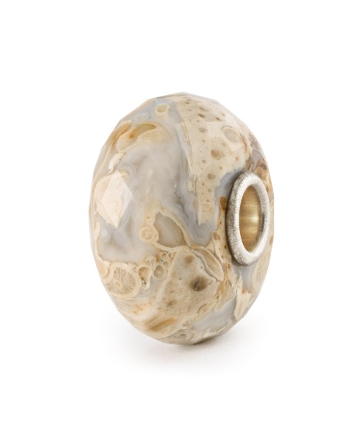 Fossilised Wood Bead