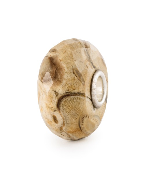 Fossilised Wood Bead