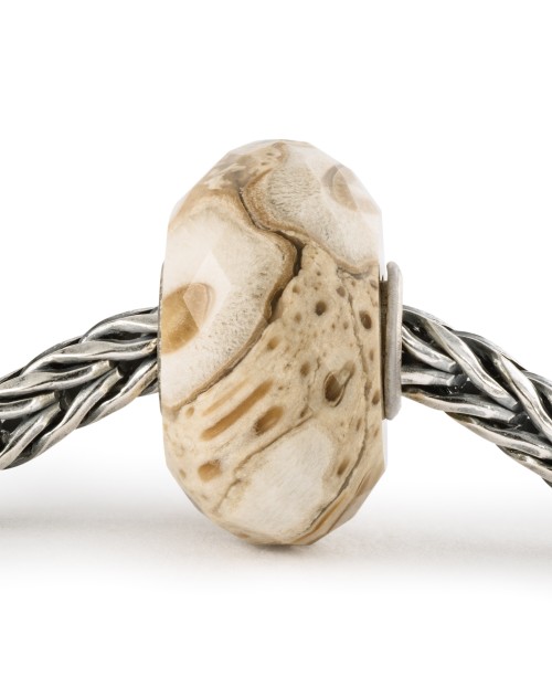 Fossilised Wood Bead