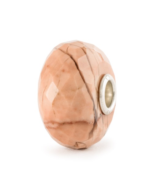 Fossilised Shell Bead