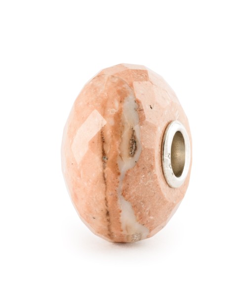 Fossilised Shell Bead