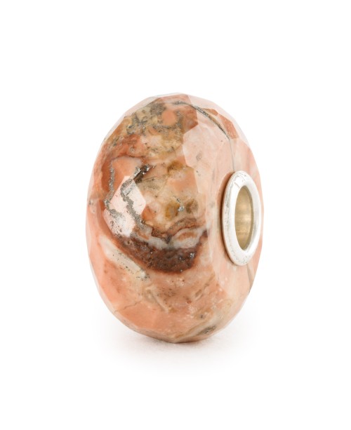 Fossilised Shell Bead