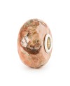 Fossilised Shell Bead