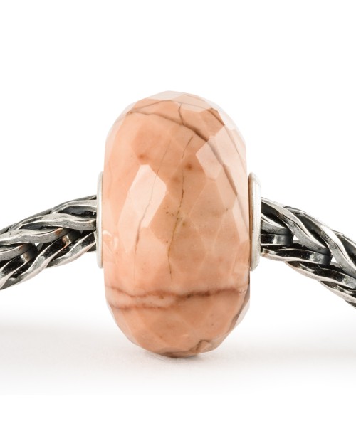 Fossilised Shell Bead