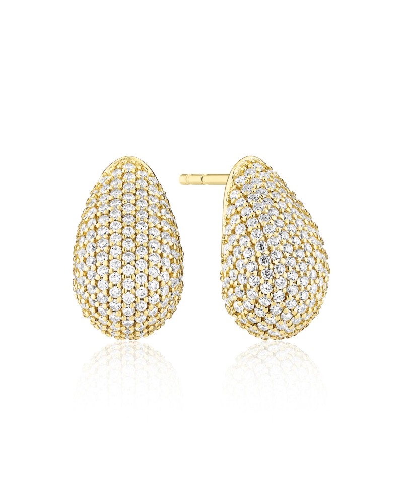 Earrings SJ-E2480-CZ-YG