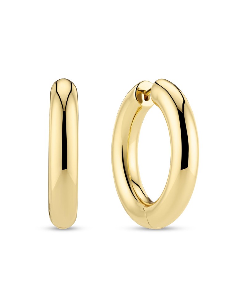 Carrara Earrings SJ-E2476-YG