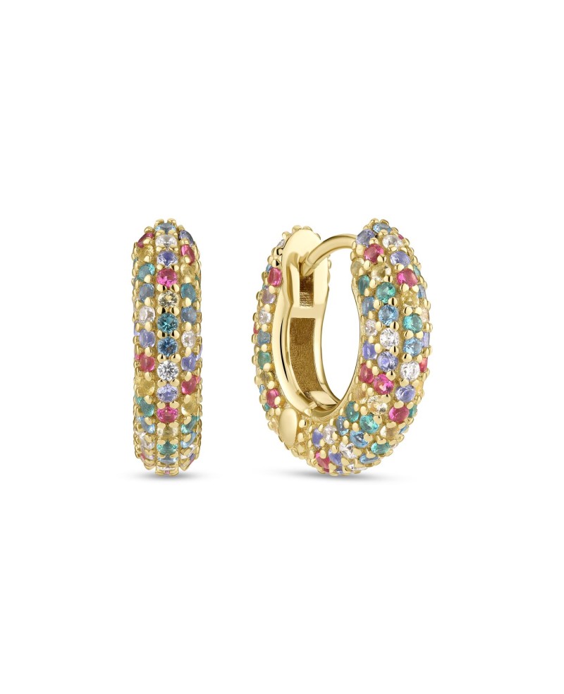 Carrara Earrings SJ-E2473-XCZ-YG