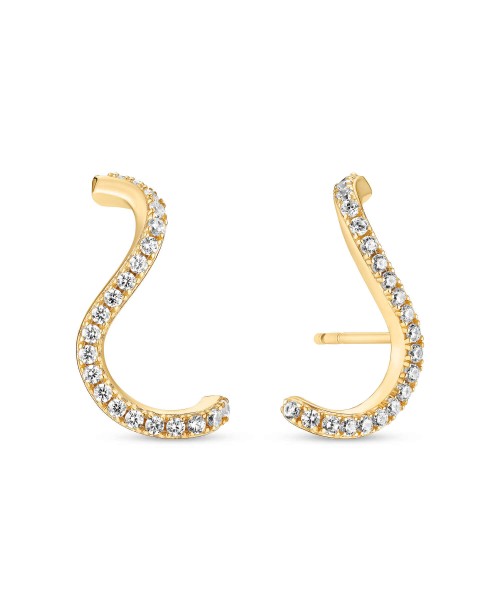 Ellera Waves Auskarai SJ-E3890-CZ-YG