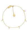 Ellera Bracelet SJ-B12211-CZ-SG