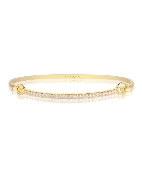 Capizzi Bracelet SJ-BG42263-CZ-YG