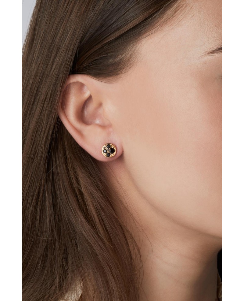 Novara Earrings SJ-E1055-BK-YG