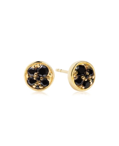 Novara Earrings SJ-E1055-BK-YG