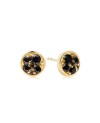 Novara Earrings SJ-E1055-BK-YG