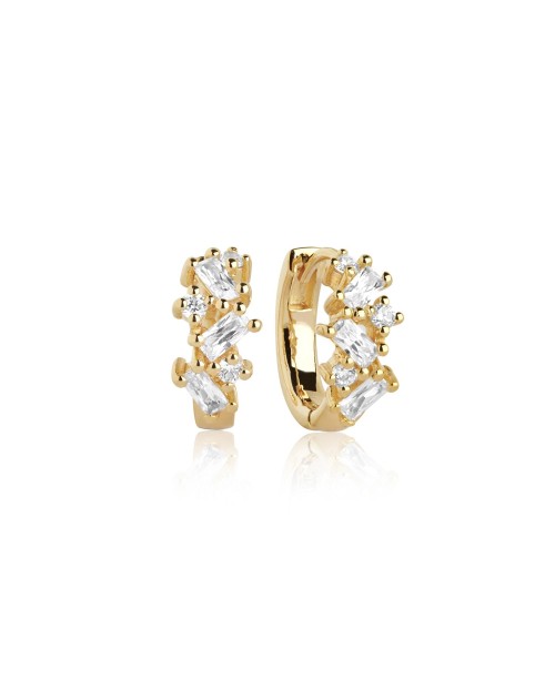 Antella Earrings SJ-E1076-CZ-YG