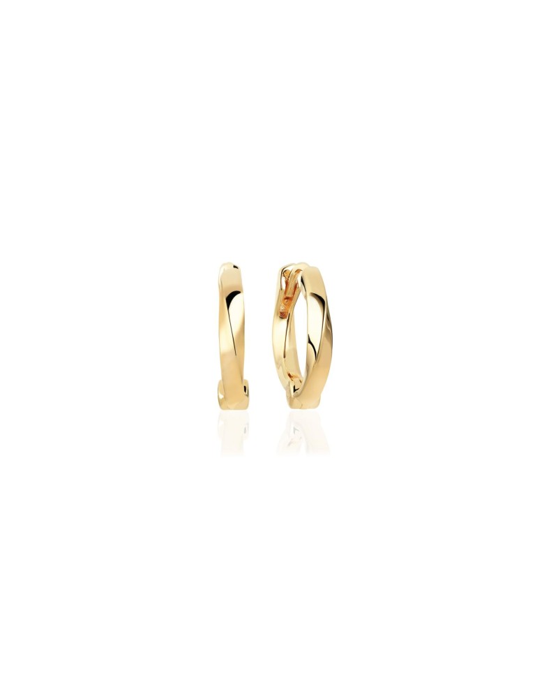 Ferrara Earrings SJ-E12108-SG