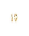 Ferrara Earrings SJ-E12108-SG