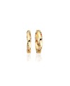 Ferrara Earrings SJ-E12109-ACZ-SG