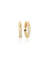 Ferrara Earrings SJ-E12109-CZ-SG