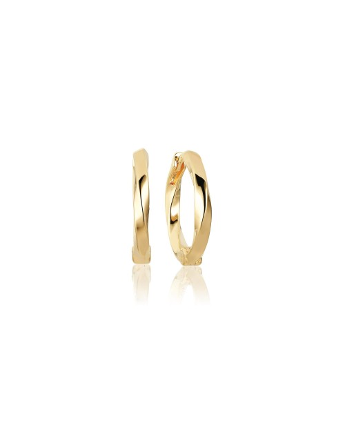 Ferrara Earrings SJ-E12109-SG