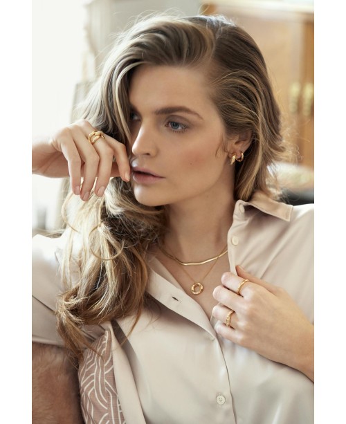 Ferrara Earrings SJ-E12109-SG