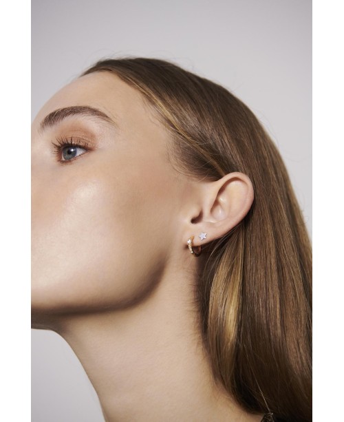 Ellera Earrings SJ-E12119-CZ-SG