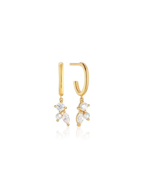 Adria Earrings SJ-E12226-PCZ-YG