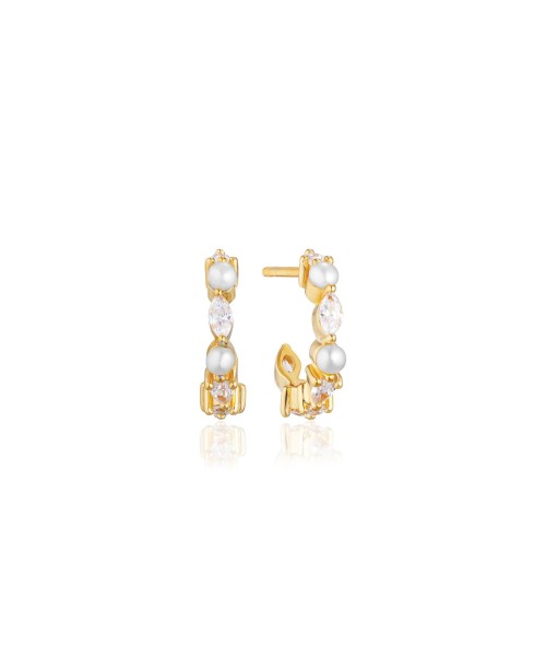 Adria Earrings SJ-E12234-PCZ-YG