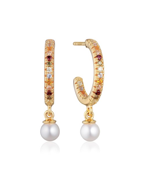 Ellera Earrings SJ-E12280-ACZ-SG