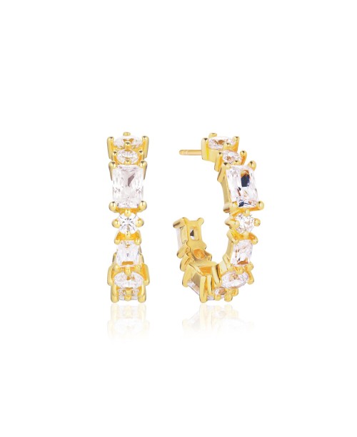 Ivrea Earrings SJ-E12312-CZ-YG