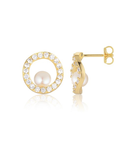 Ponza Earrings SJ-E12348-PCZ-YG