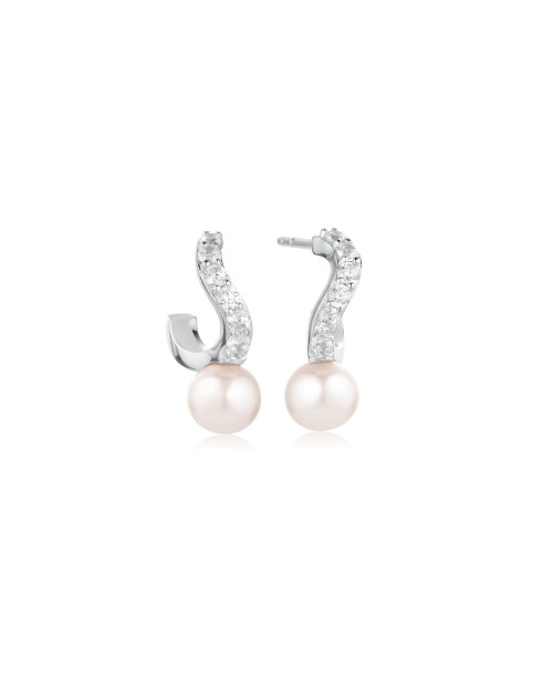 Ponza Earrings SJ-E12350-PCZ
