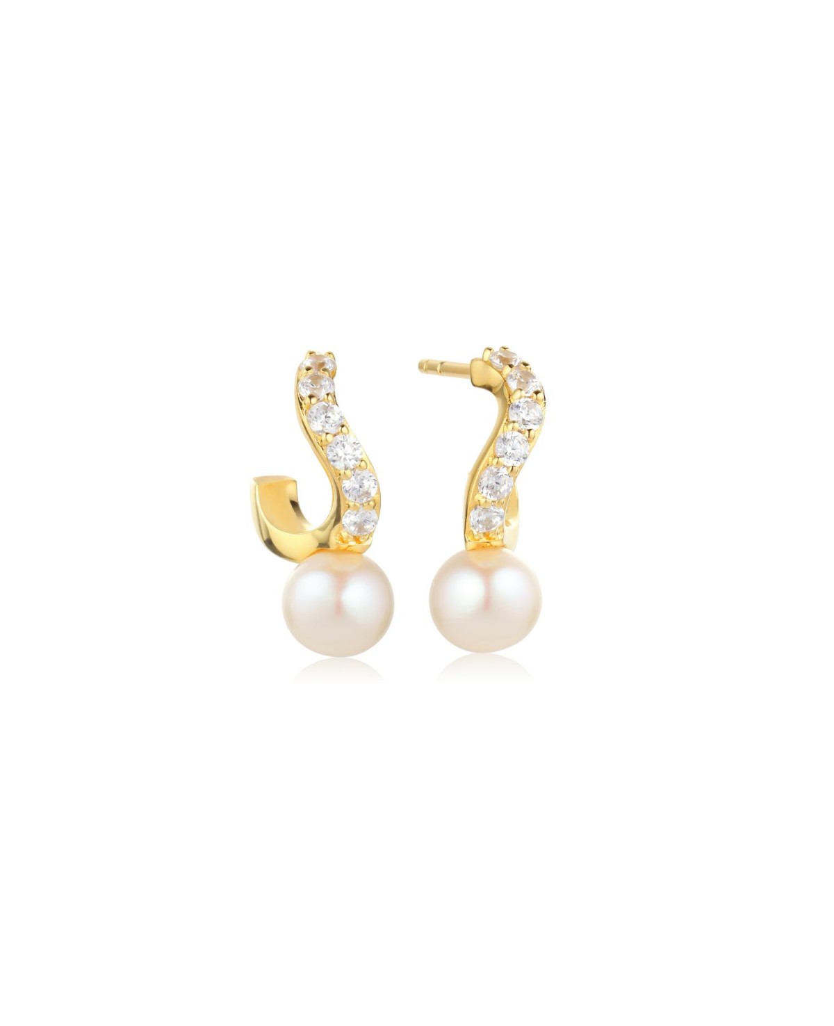 Ponza Earrings SJ-E12350-PCZ-YG