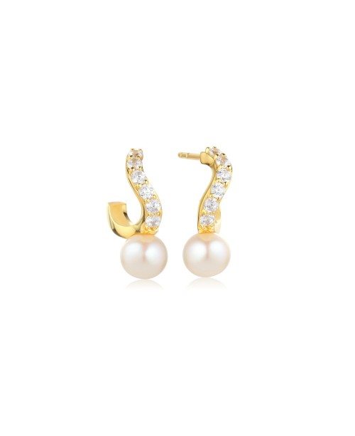 Ponza Earrings SJ-E12350-PCZ-YG