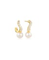 Ponza Earrings SJ-E12350-PCZ-YG