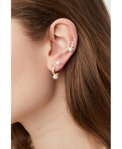 Ponza Earrings SJ-E12350-PCZ-YG
