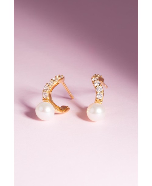 Ponza Earrings SJ-E12350-PCZ-YG