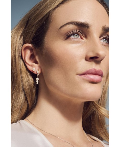 Ponza Earrings SJ-E12352-PCZ-YG