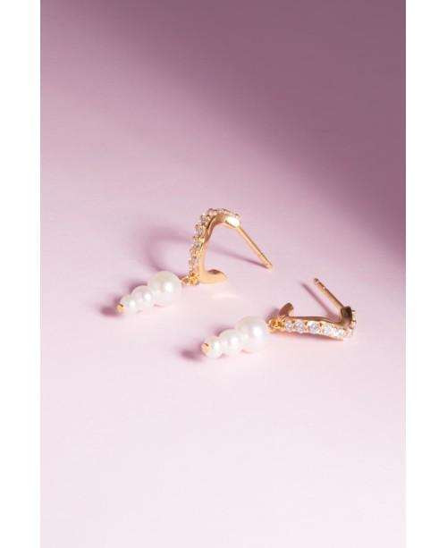 Ponza Earrings SJ-E12352-PCZ-YG