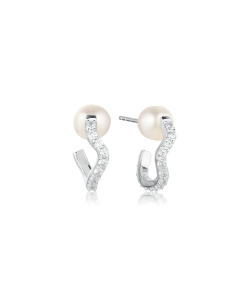 Ponza Earrings SJ-E12354-PCZ