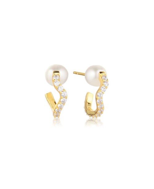 Ponza Earrings SJ-E12354-PCZ-YG
