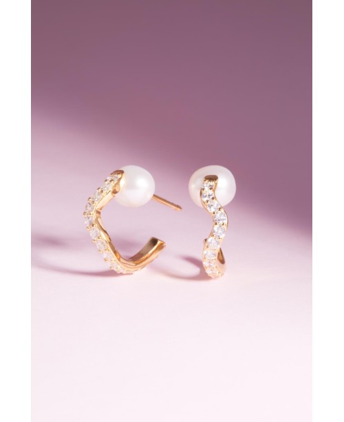 Ponza Earrings SJ-E12354-PCZ-YG