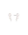 Ponza Earrings SJ-E12370-P