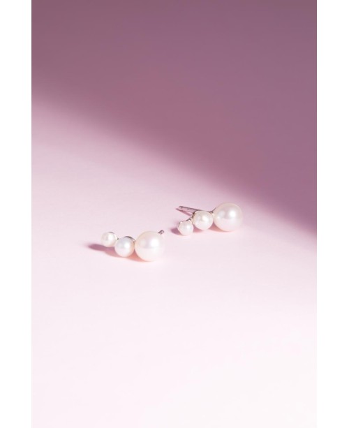 Ponza Earrings SJ-E12370-P