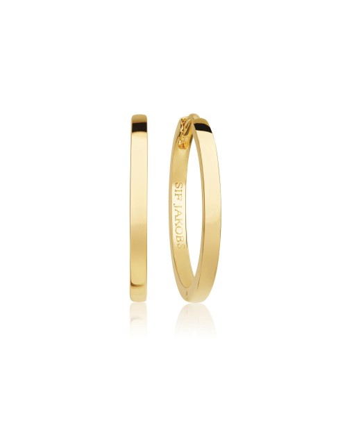 Ellera Earrings SJ-E22030-SG