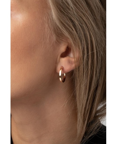 Ellera Earrings SJ-E22030-SG
