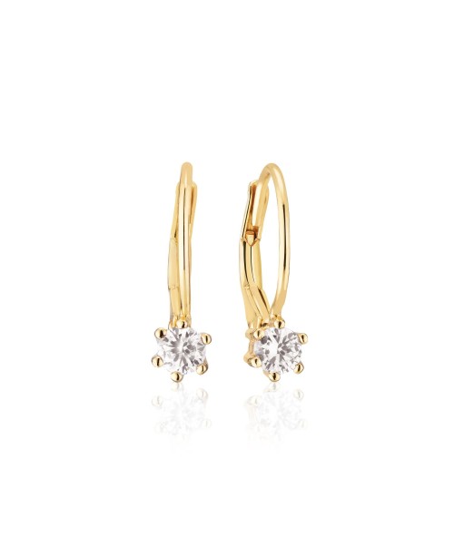 Rimini Earrings SJ-E22110-CZ-SG