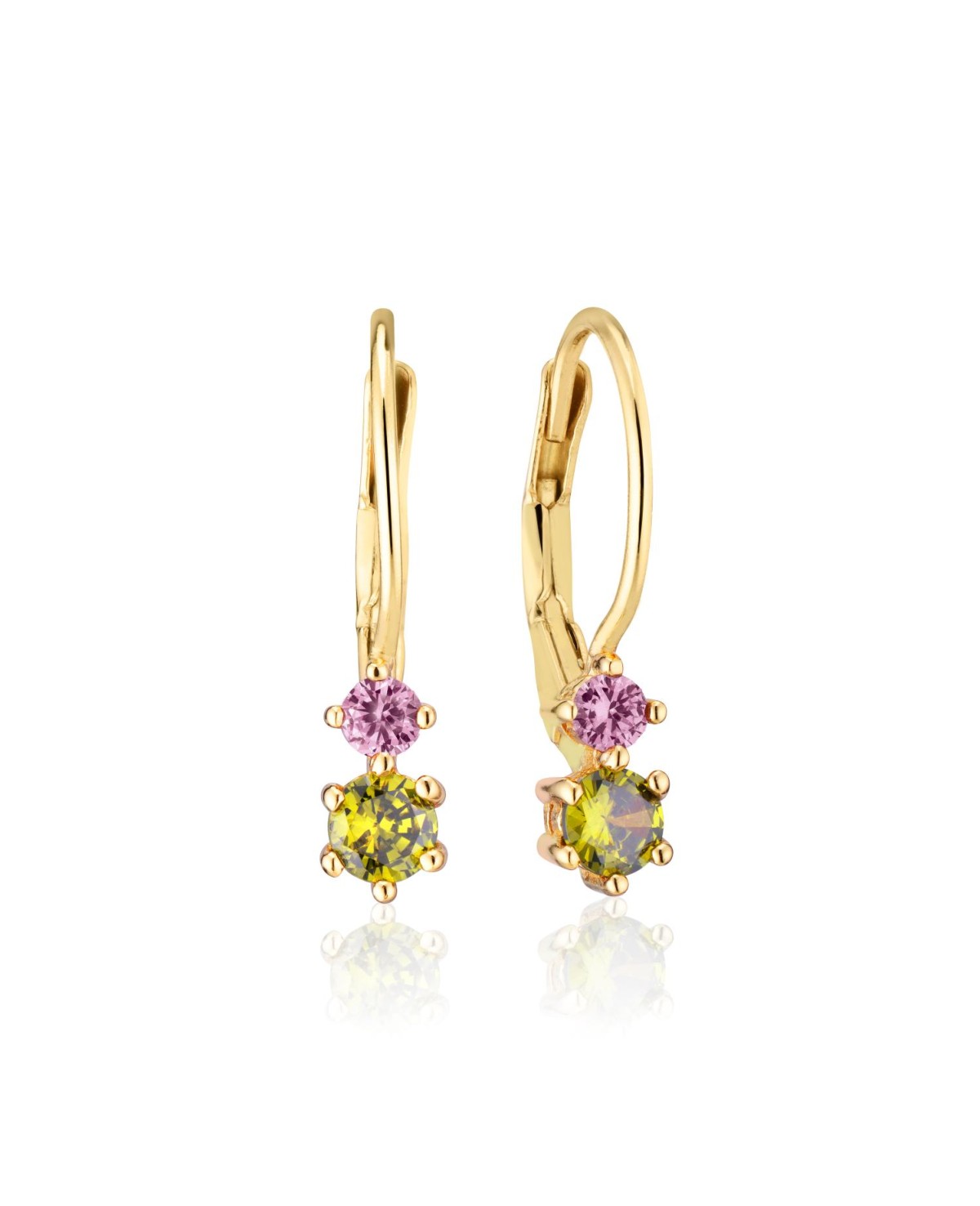 Rimini Earrings SJ-E22111-PKPD-SG